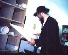 A sofer choosing parchment for a Torah scroll