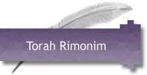 sterling silver Torah rimonim - Torah filials made in Israel